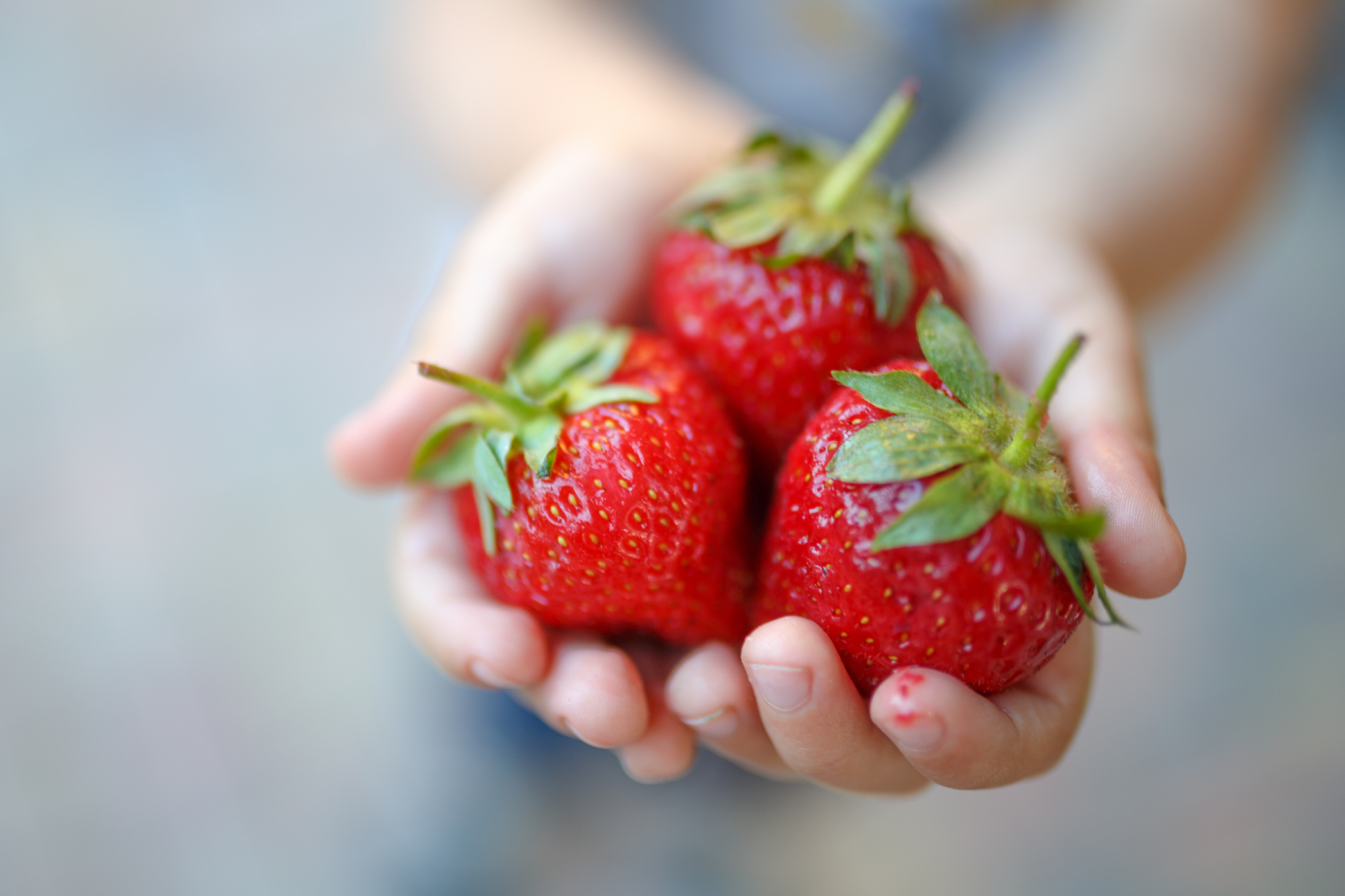 Aardbeien in kinderhandje